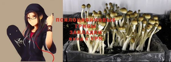 каннабис Абаза