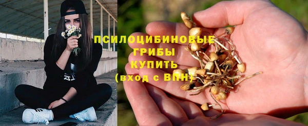 каннабис Абаза