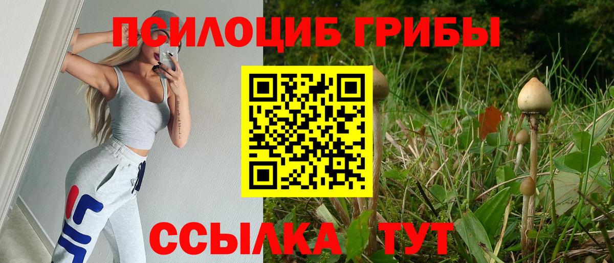 Галлюциногенные грибы Psilocybine cubensis  Вход с VPN  Альметьевск 