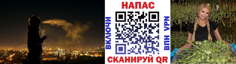 Бошки марихуана SATIVA & INDICA хочу наркоту Альметьевск